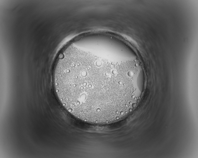 X0000086331271200704202034