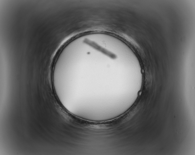 X0000086331272200704202034