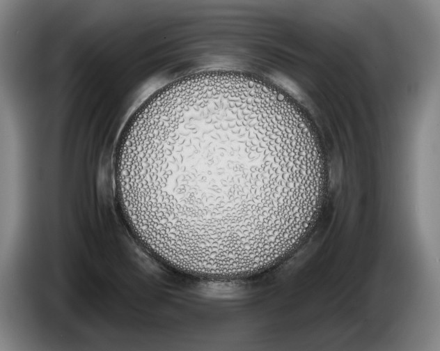 X0000086331274200704202034