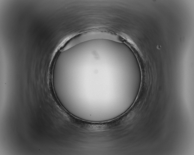 X0000086331277200704202034