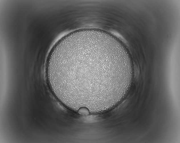 X0000086331278200704202034