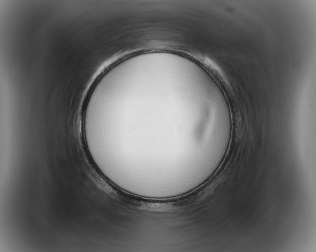 X0000086331280200704202034