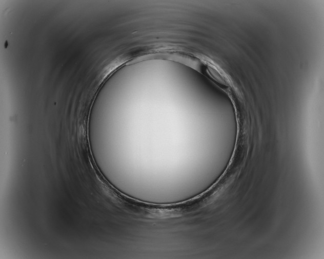 X0000086331281200704202034