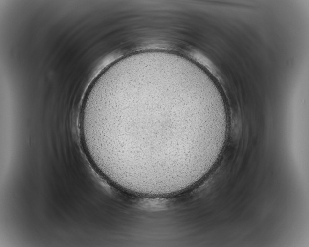 X0000086331282200704202034