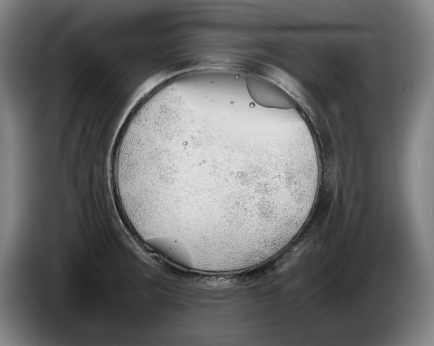 X0000086331283200704202034