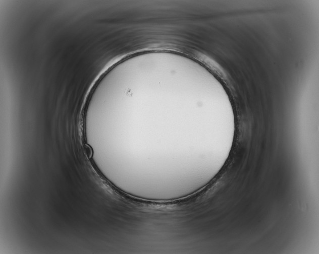 X0000086331284200704202034