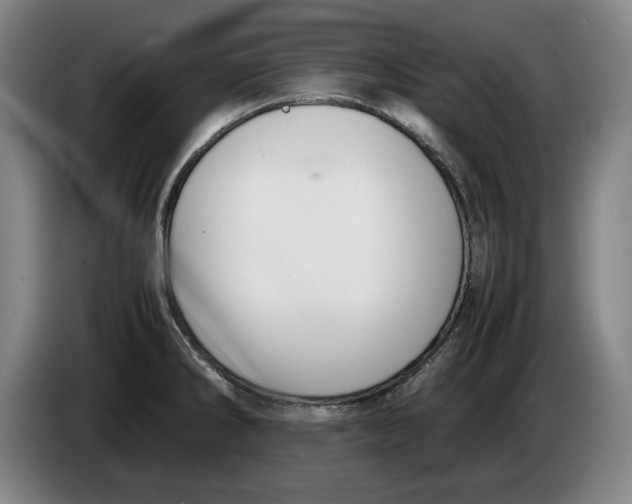 X0000086331286200704202034