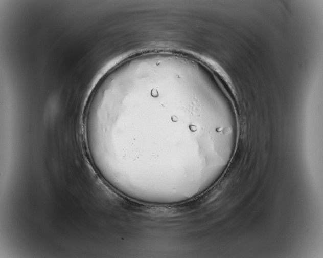 X0000086331287200704202034