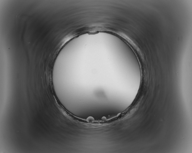 X0000086331289200704202034