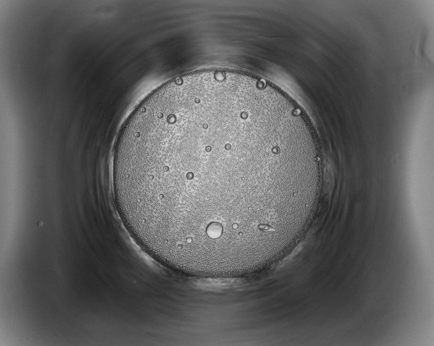 X0000086331290200704202034