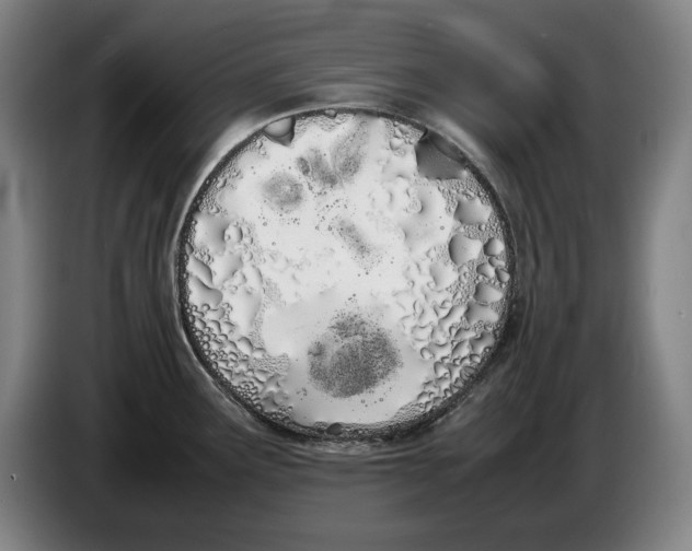 X0000086331291200704202034