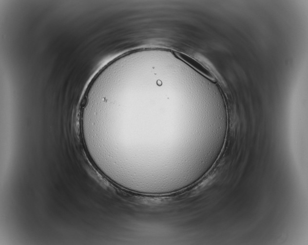 X0000086331292200704202034