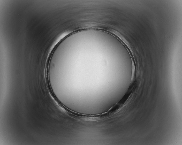 X0000086331293200704202034