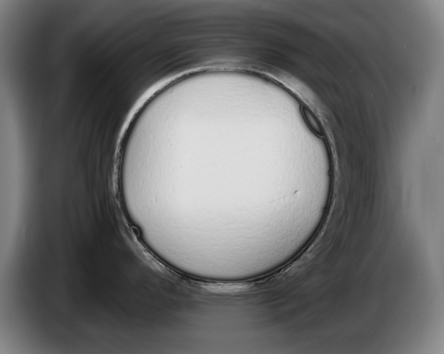 X0000086331296200704202034