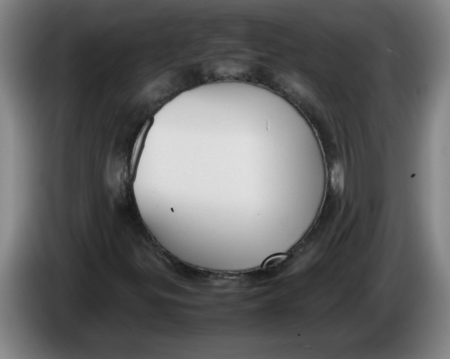 X0000086331299200704202033