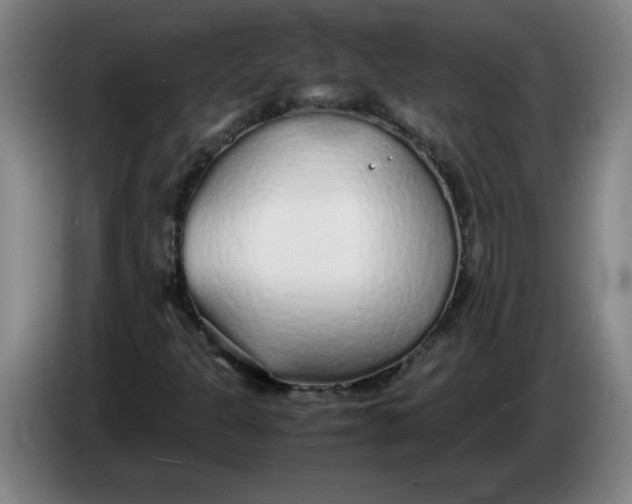 X0000086331301200704202033