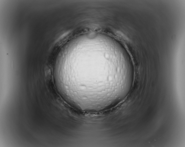 X0000086331302200704202033