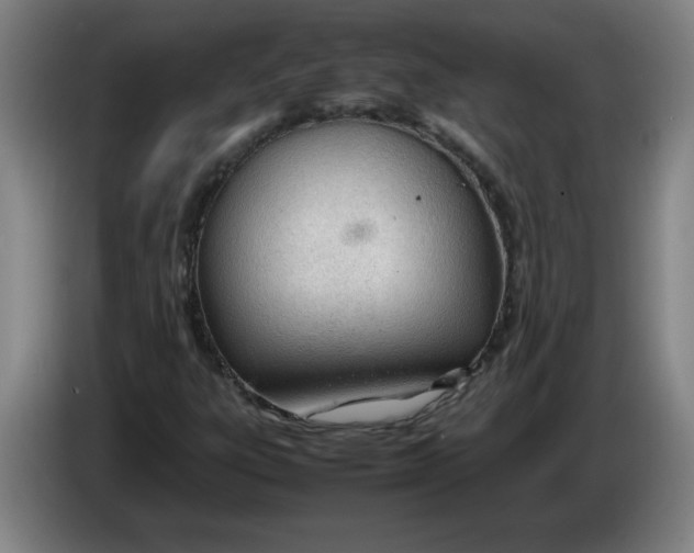 X0000086331303200704202033