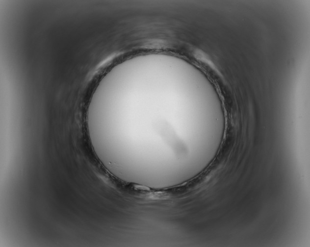 X0000086331304200704202033