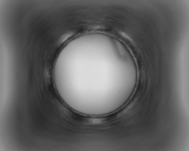 X0000086331305200704202033