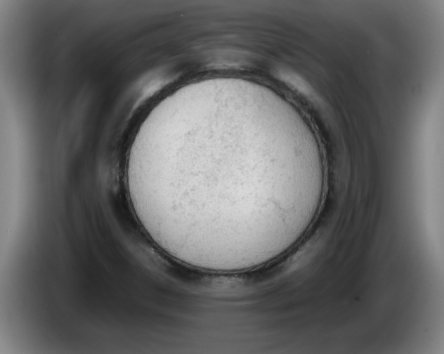 X0000086331306200704202033