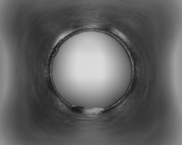 X0000086331308200704202033