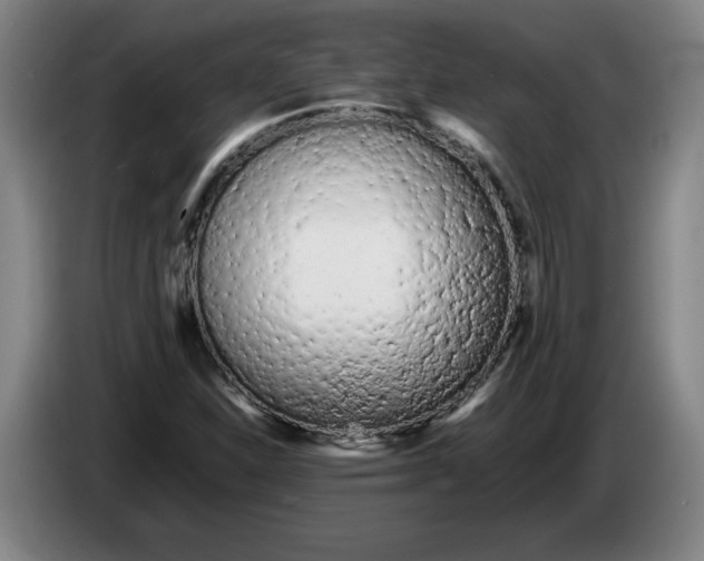 X0000086331310200704202033