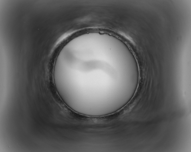 X0000086331311200704202033