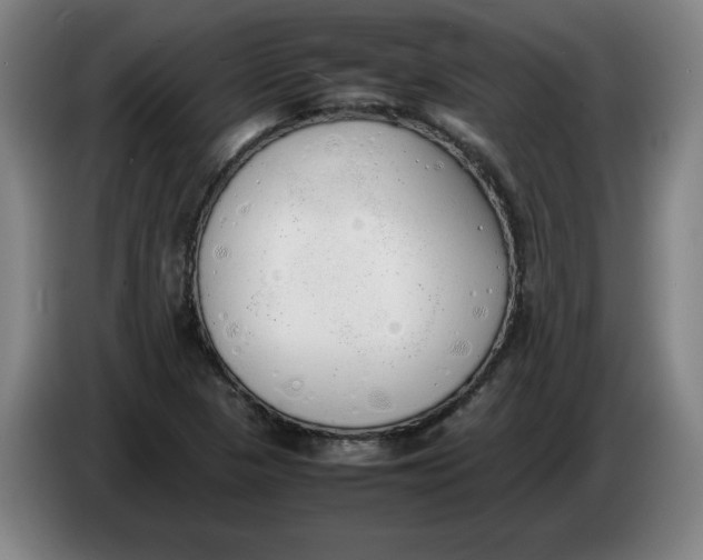 X0000086331313200704202034