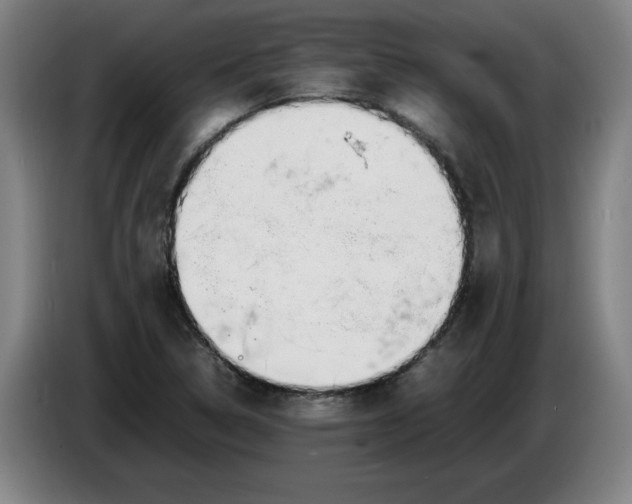 X0000086331314200704202034