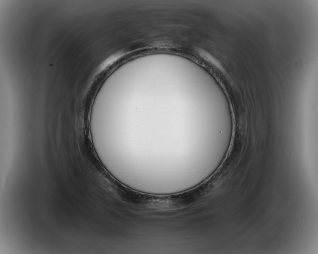 X0000086331315200704202034