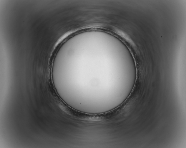 X0000086331316200704202034