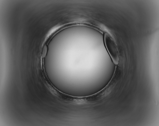 X0000086331320200704202034