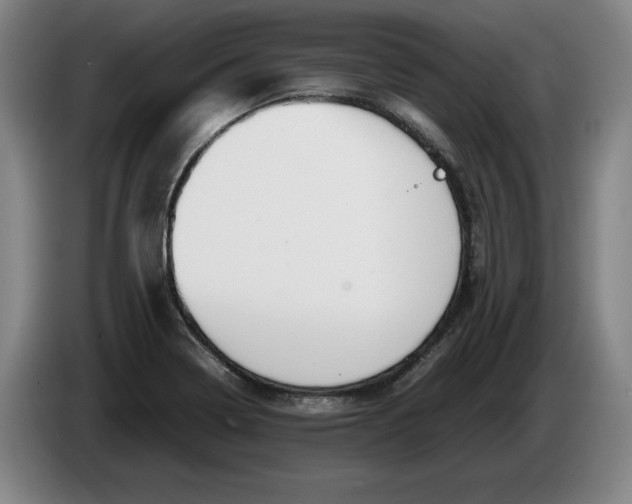 X0000086331322200704202034