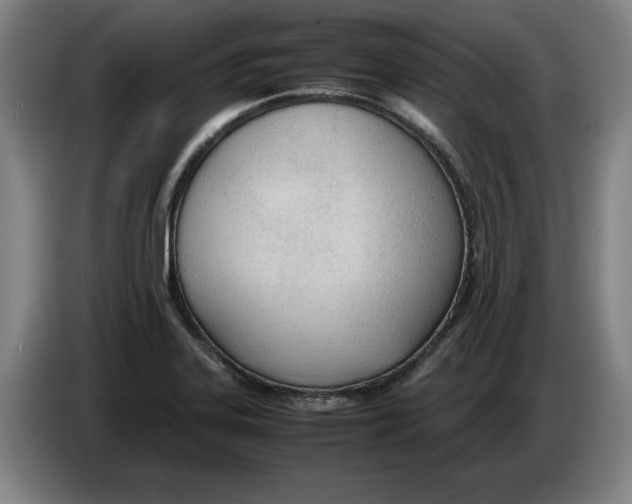 X0000086331323200704202034