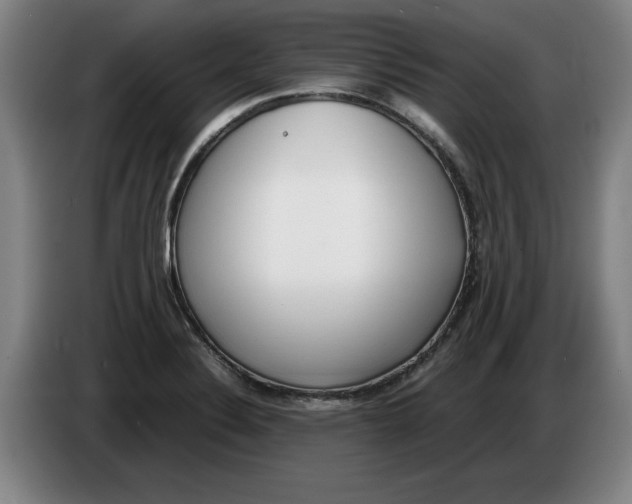 X0000086331324200704202034