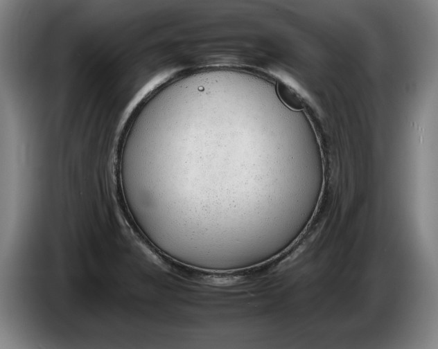 X0000086331325200704202034