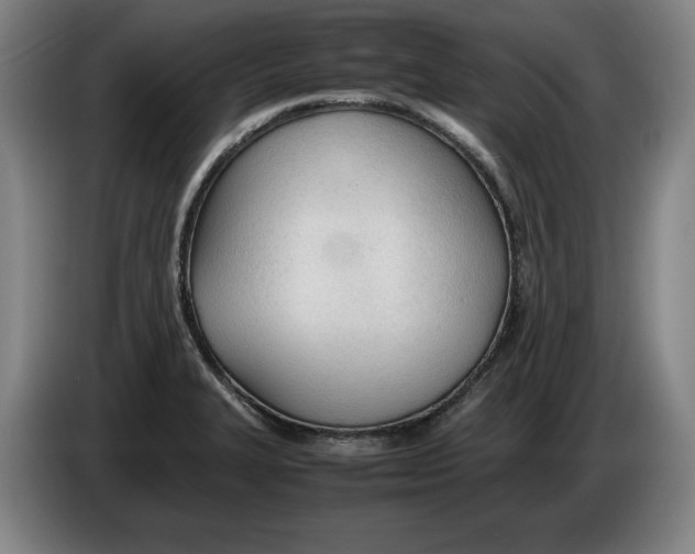 X0000086331327200704202034