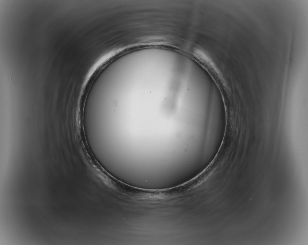 X0000086331328200704202034