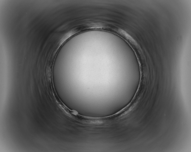 X0000086331329200704202034