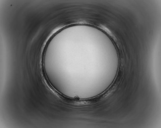 X0000086331331200704202034