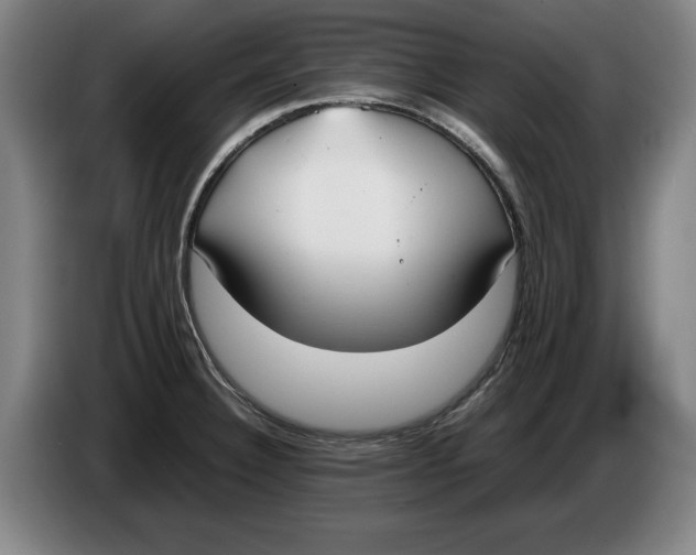 X0000086331332200704202034