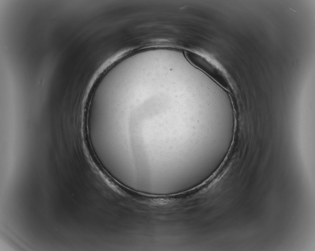 X0000086331333200704202034