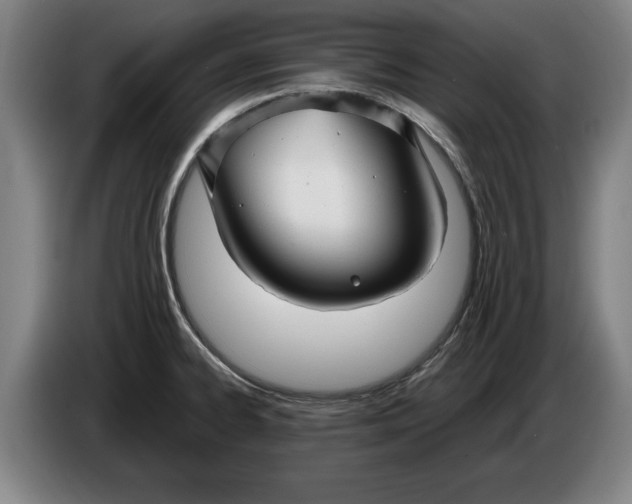 X0000086331334200704202034