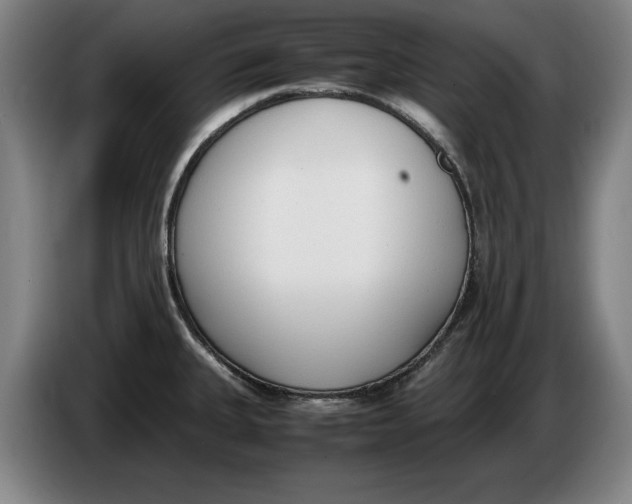 X0000086331335200704202034