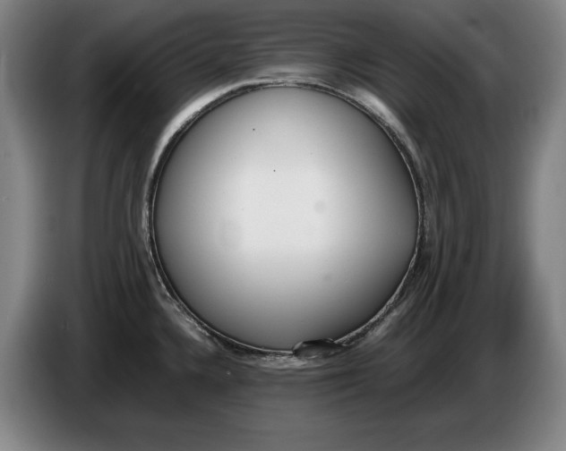 X0000086331336200704202034