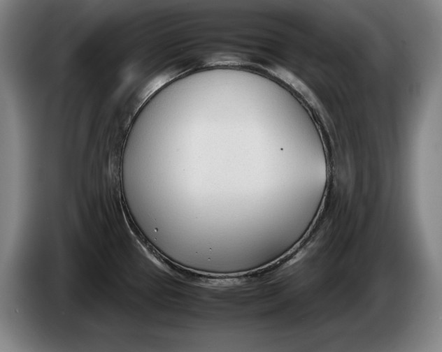 X0000086331337200704202034