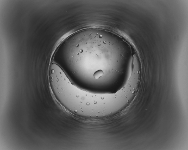 X0000086331338200704202034