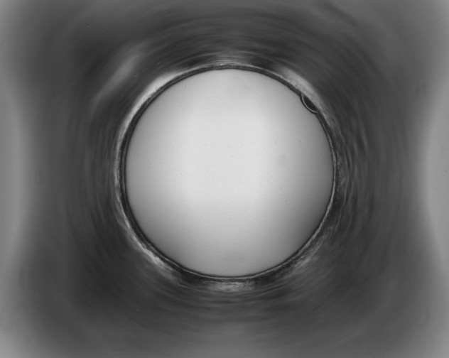 X0000086331339200704202034