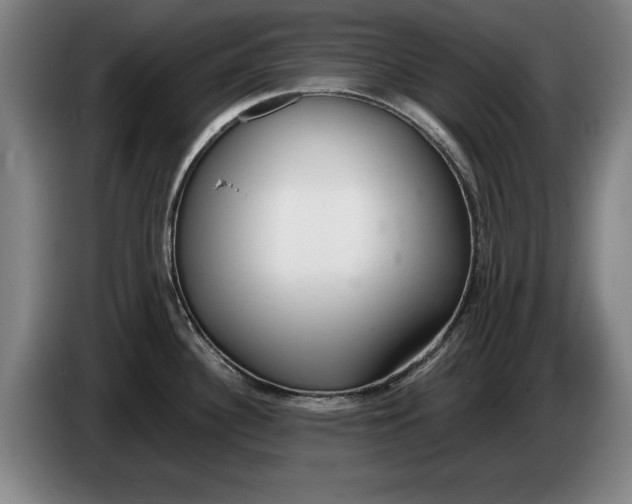 X0000086331340200704202034